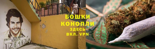 индика Нефтегорск