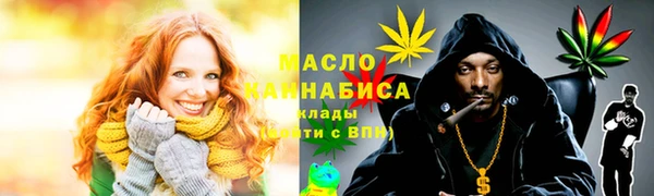 МДПВ Нея