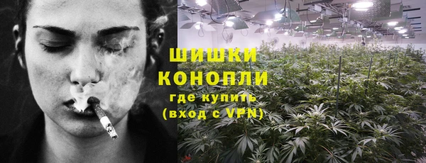 МДПВ Нея