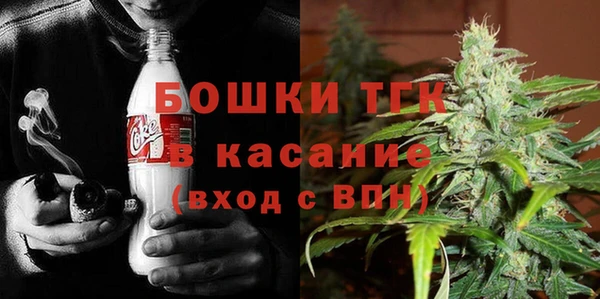 индика Нефтегорск