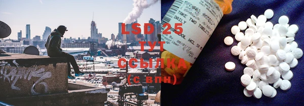 индика Нефтегорск
