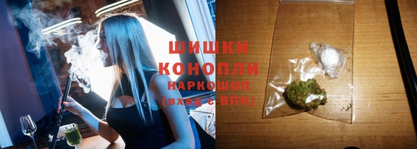 МДПВ Нея