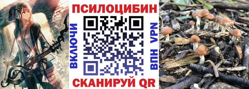 Псилоцибиновые грибы Psilocybine cubensis  hydra зеркало  Болохово 